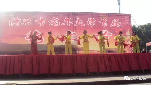 銀城街道攜手市老年大學(xué)，共譜首屆藝術(shù)節(jié)華章